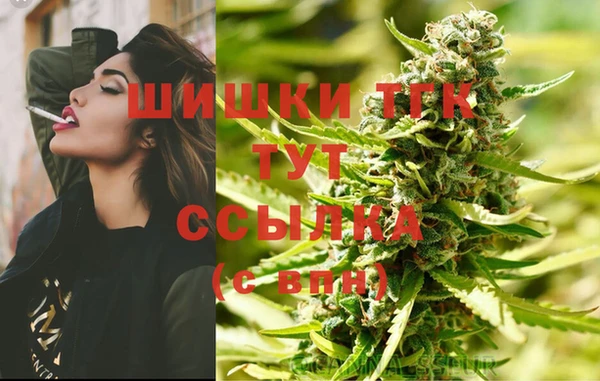 сатива Пестово