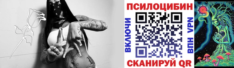 Галлюциногенные грибы MAGIC MUSHROOMS MEGA Невинномысск где можно купить наркотик